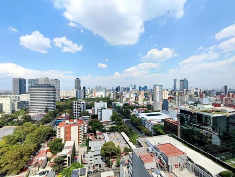 Alluring Views, Luxuriously Appointed In Polanco Apartment in Mexico City