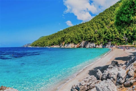 Natural landscape, Beach