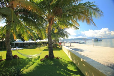 Wild Orchid Beach Resort Hotel in Olongapo