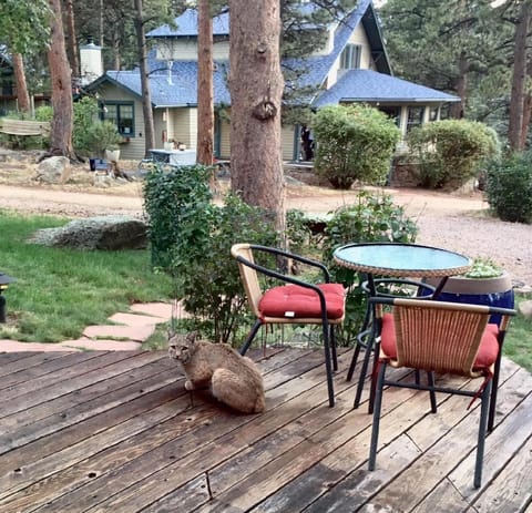 Romantic RiverSong Inn Bed and Breakfast in Estes Park