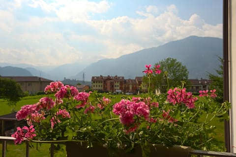 lioelara Übernachtung mit Frühstück in Feltre