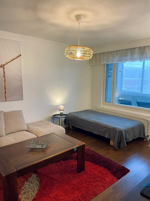 Bed, Living room, Photo of the whole room, Seating area, Bedroom