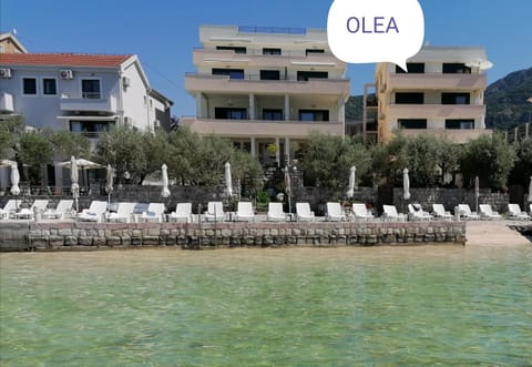 Olea Apartment in Kotor Municipality