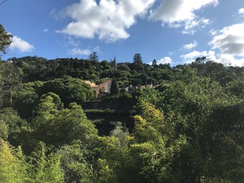 Natural landscape, Mountain view