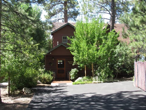 Naughty Pines House in Big Bear