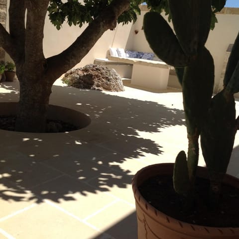 Garden, Dining area, Garden view