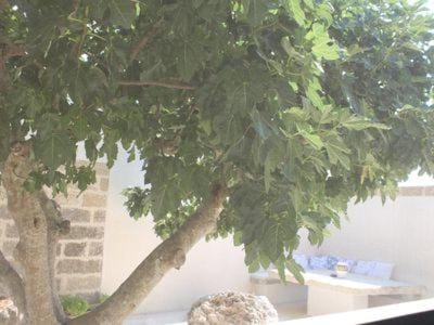 Dimora Cavalieri charming house salento puglia House in Apulia