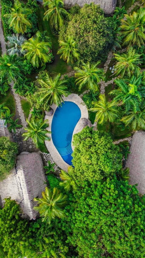 Garden, Pool view, Swimming pool