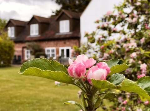 Hanger Down House Bed and Breakfast Bed and Breakfast in Arundel