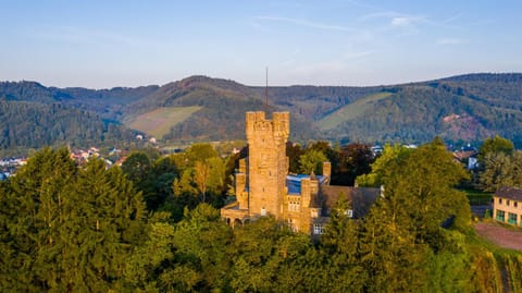 Saar Castle - cozy Mansion near vineyard House in Trier-Saarburg