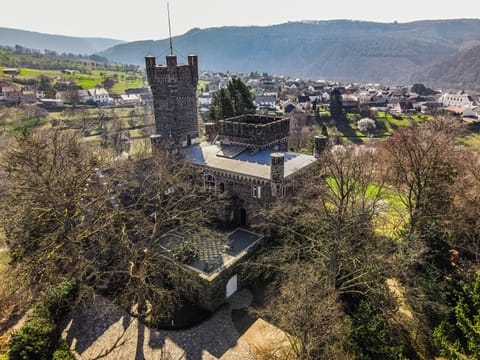 Saar Castle - cozy Mansion near vineyard House in Trier-Saarburg