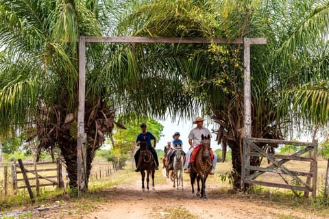 Activities, Horse-riding