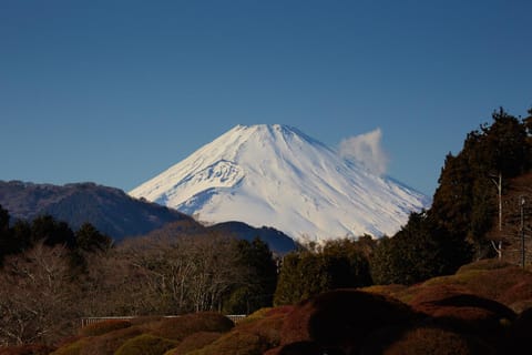 Nearby landmark, Neighbourhood, Natural landscape