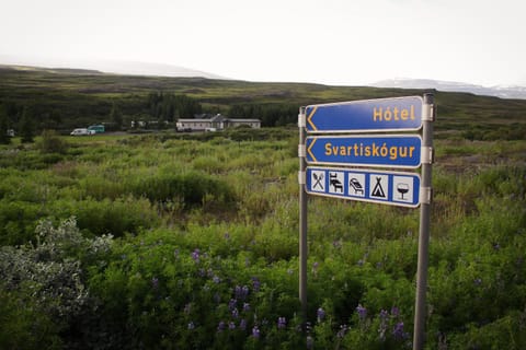 Property building, Property logo or sign, Street view