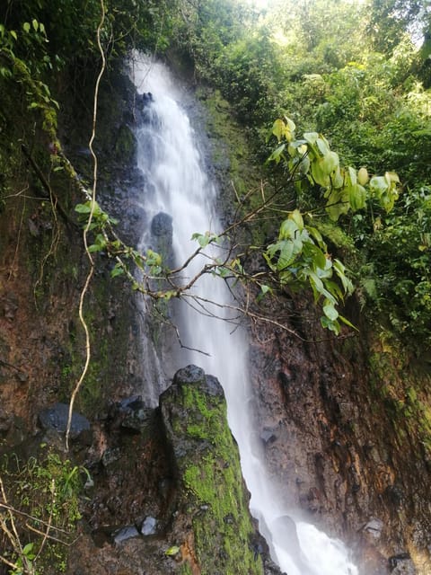 Natural landscape, Hiking