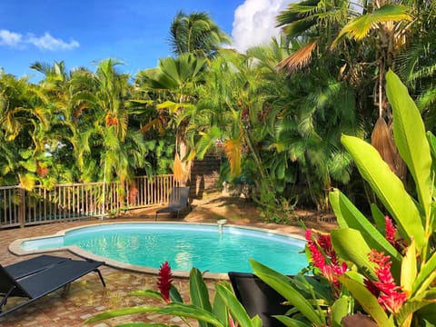 Garden, Garden view, Swimming pool