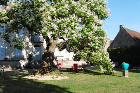 Facade/entrance, Garden