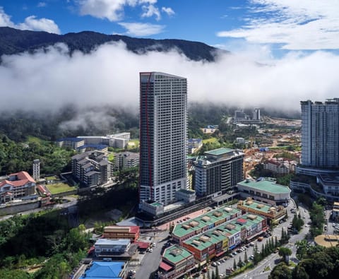 Neighbourhood, Natural landscape, Bird's eye view