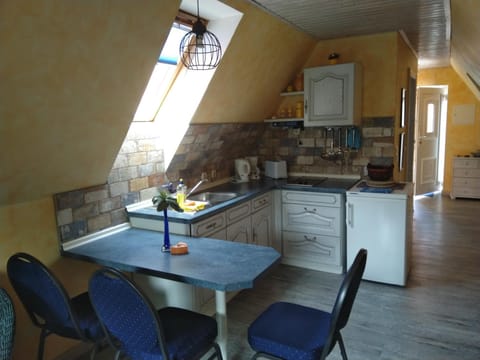 Kitchen or kitchenette, Photo of the whole room, Dining area, dishwasher, stove