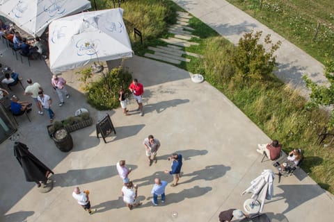 Spring, People, Balcony/Terrace, Food and drinks, Drinks, group of guests