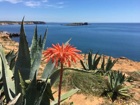 Casa Maré Bed and Breakfast in Sagres