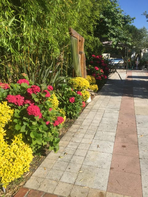 Spring, Garden, Garden view