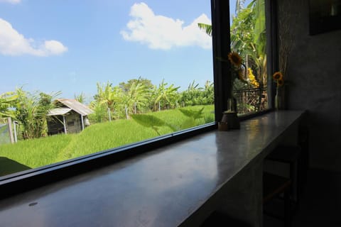 De Vir House Vacation rental in North Kuta