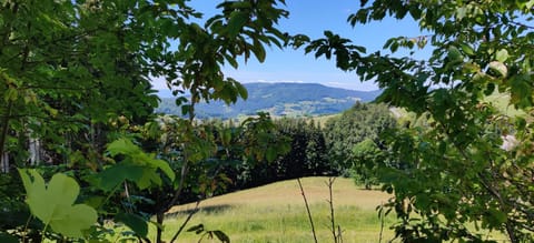 Les Brasses Apartment in Haute-Savoie