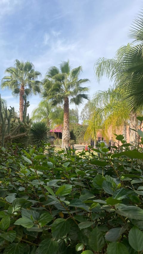 Le Rubis Oriental Bed and Breakfast in Marrakesh-Safi