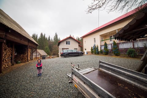 Casa Cosmina Arieseni Natur-Lodge in Cluj County