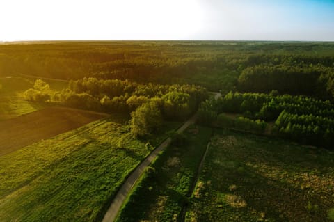 POD DĘBEM Country House in Greater Poland Voivodeship