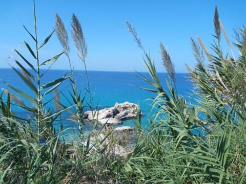 Day, Natural landscape, Summer, Beach, On site, Sea view