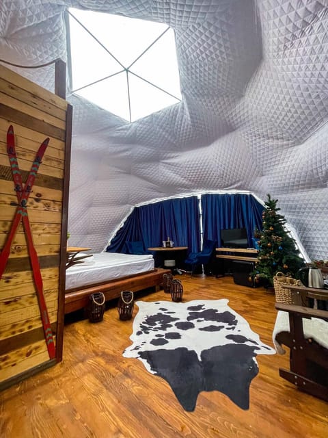 Wegloo Luxury tent in Prahova, Romania