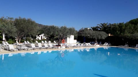 Pool view, Swimming pool, sunbed