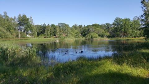 Sollyan House in Stockholm County