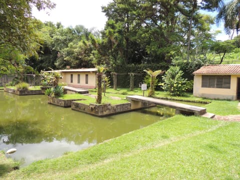 Garden, Lake view