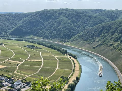 Grandezza Ferienwohnungen Erpeldinger Apartment in Cochem-Zell