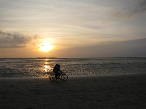 Natural landscape, Beach, Cycling, Sunset