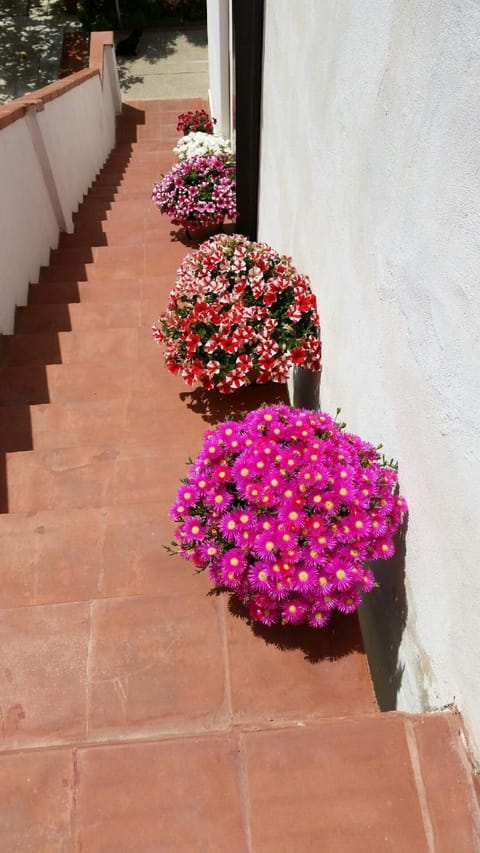 Banquet/Function facilities, Decorative detail