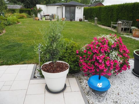 Property building, Garden view