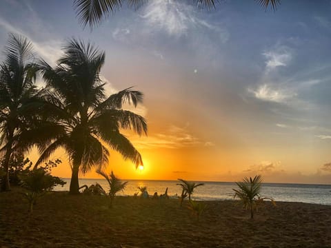 Natural landscape, Beach, Hiking, Sunset