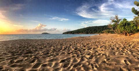 Natural landscape, Beach, Hiking