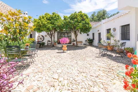 Property building, Patio, Garden view