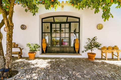 Patio, Garden view