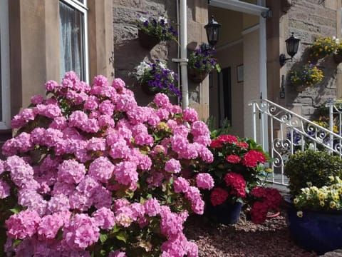 Facade/entrance, Garden view