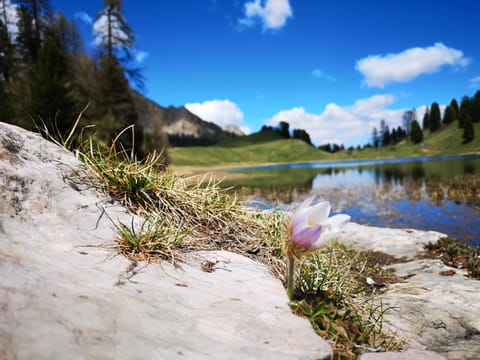 Natural landscape, Hiking