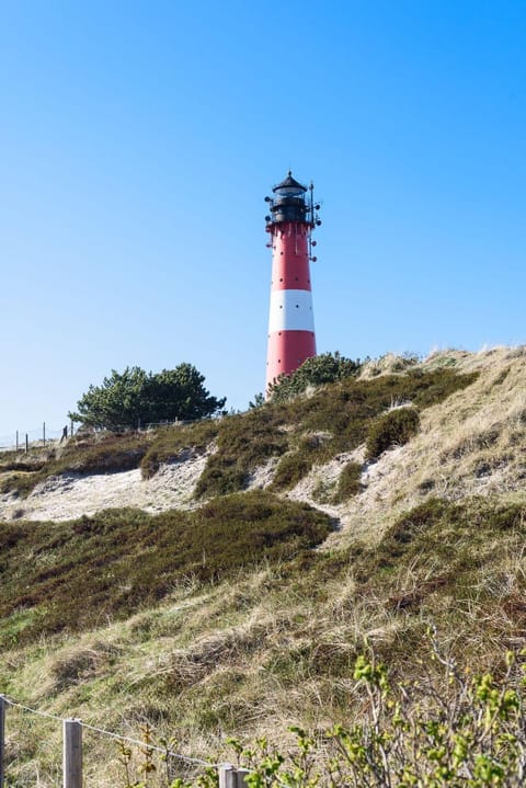 Hûs lepen Wil House in Nordfriesland