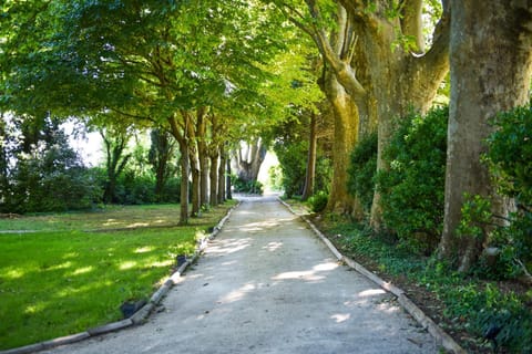 Le Mas de la Sorgue Bed and Breakfast in Le Thor