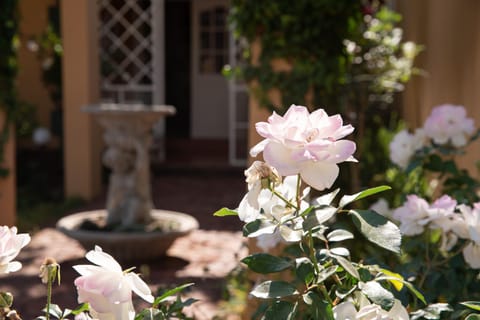 Patio, Facade/entrance, Quiet street view