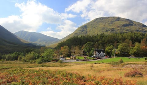 Beech Chalet House in Scotland